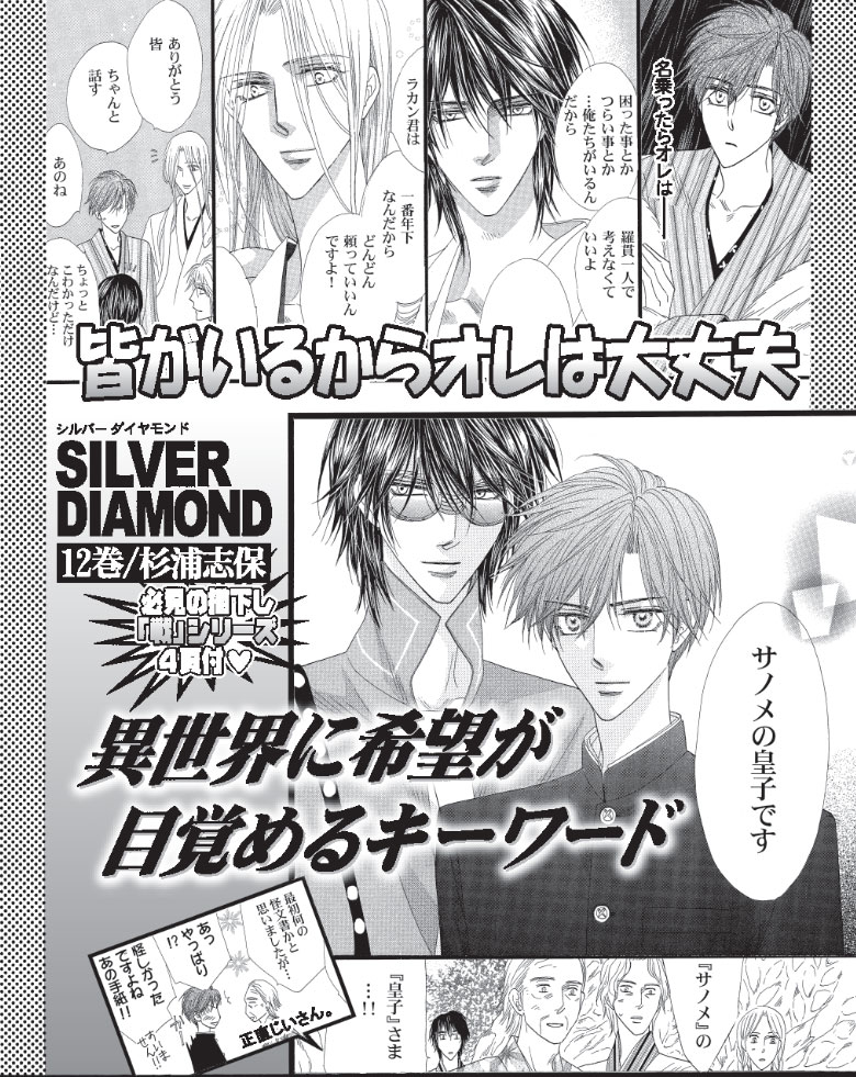 SILVER DIAMOND（12）